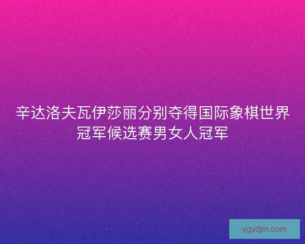 辛达洛夫瓦伊莎丽分别夺得国际象棋世界冠军候选赛男女人冠军